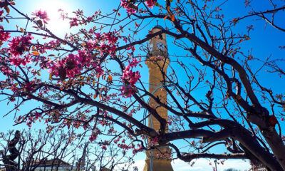 Bu Hafta Sıcak Geçecek