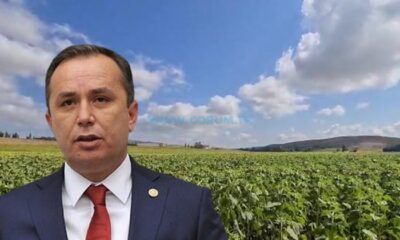 Hibe Edilen Tohumlardan Yarım Ton Ürün Elde Edilecek