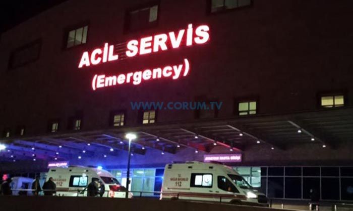 Kayalıktan Düşen Çoban Ağır Yaralandı