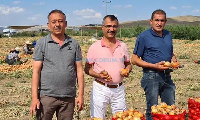 Sarı: Türkiye’de Soğan Denince Çorum Akla Geliyor