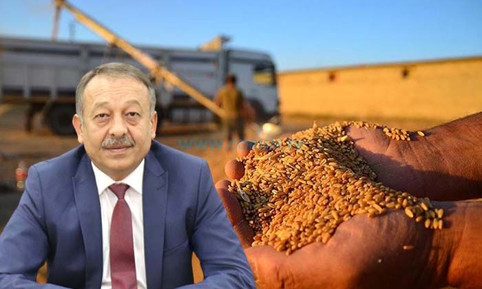 TMO Desteği İçin Son Tarih 16 Eylül