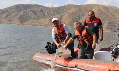 ‘Bu Yıl 850 Bin Yavru Sazan Suyla Buluştu’
