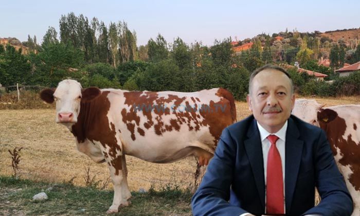 ‘Buzağı Desteği Üreme Etkinliği Parametreleri Değişti’