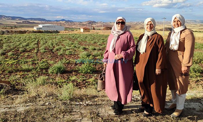 15 Milyon Lira Yatırımla Mantı Fabrikası Kuruyorlar