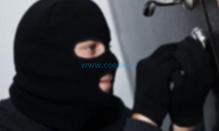 20 Hırsızlık Olayıyla İlgili 33 Şüpheli Yakalandı