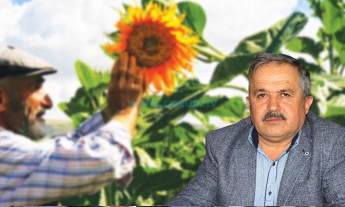 ‘Ayçiçeği Alım Fiyatları Üreticinin Beklentilerini Karşılamadı’