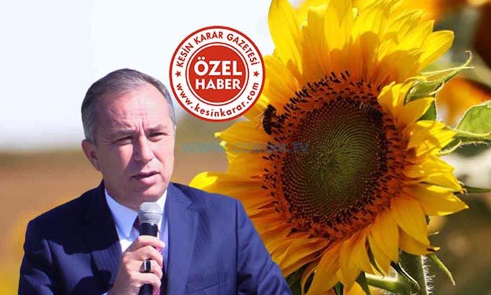 ‘Ayçiçeği Fiyatı Tüm Dünyada Düşüyor’