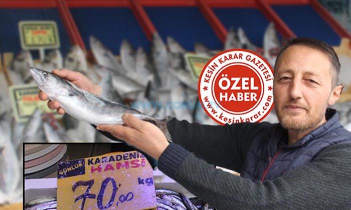 Balık Fiyatları Cep Yakıyor