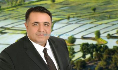 Çeltik Taban Fiyatı Belli Oldu