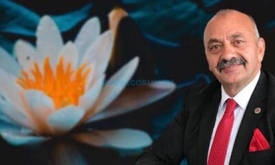 İsbir: Lotus Çiçeği Kolonyası İçin Çalışmalarımız Başladı