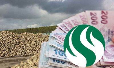 Pancar Alım Fiyatı Bin 575 Lira
