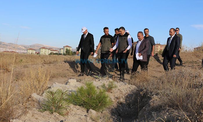 Vali Çiftçi’den Rekor Sahibi Ormana Ziyaret