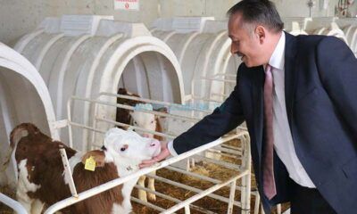 ‘Hastalıktan Ari İşletmelerde Hedefimiz İlk Üçe Girmek’