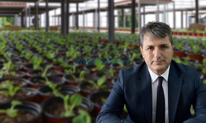 45 Bin Kış Çiçeği Toprakla Buluşuyor