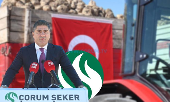 Çorum Şeker, 110 Bin Ton Şeker Üretecek