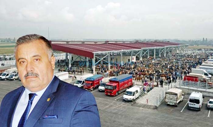 Hayvan Pazarı, 24 Ekim’de Açılıyor