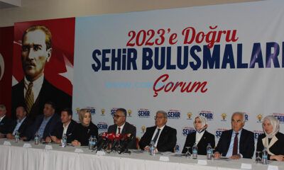 Merkez ve 14 İlçenin Sorunları Belirlenip Ankara’ya İletilecek