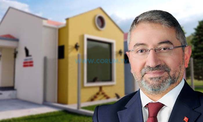 Sahipsiz Dostlar İçin Müşahede Binası