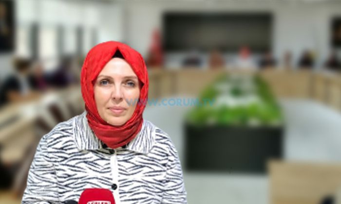 Demir: Tek Bir Kadına Şiddete Daha Tahammülümüz Yok