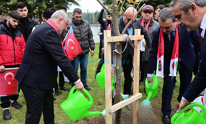 Karabağ Şehitleri İçin Meşe Ağacı Dikildi