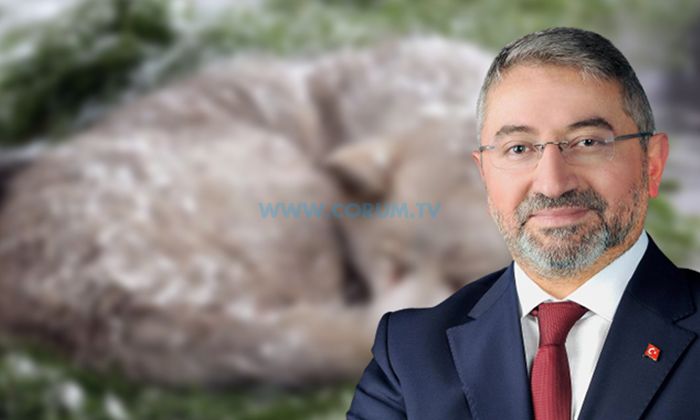 Meclis Olağanüstü Toplanıyor