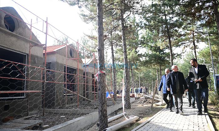 Sahipsiz Dostların Yeni Evleri Hızla Yükseliyor