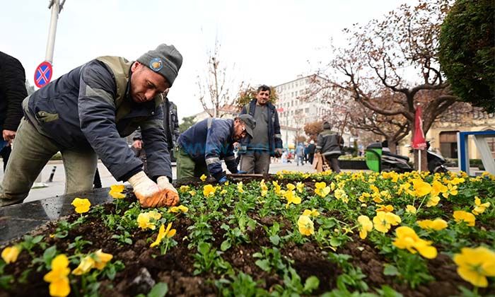 Belediye Kenti Çiçeklerle Donatıyor