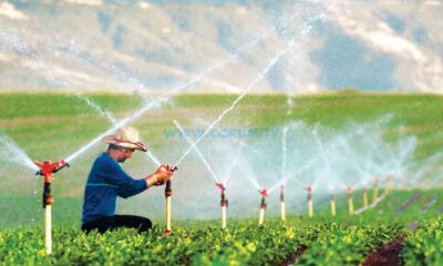 On Binlerce Dekar Arazi Sulu Tarıma Kavuşuyor