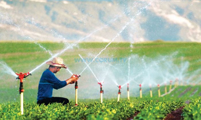 On Binlerce Dekar Arazi Sulu Tarıma Kavuşuyor