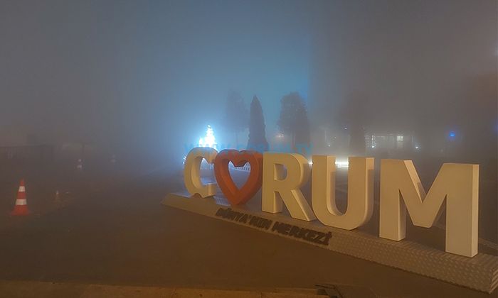 Yoğun Sis Etkili Oldu