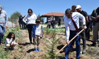 2022’de 1 Milyon Fidan Toprakla Buluştu