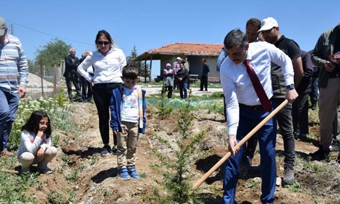 2022’de 1 Milyon Fidan Toprakla Buluştu