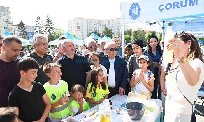 Belediye, Daha Temiz Bir Çevre İçin Çalışıyor