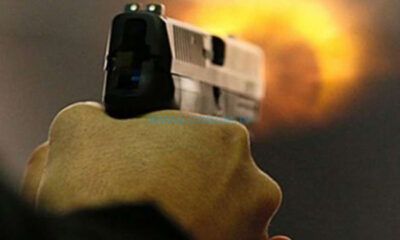 Ormancılara Silahlı Saldırı