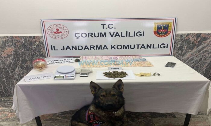 Jandarmadan Uyuşturucu Operasyonu