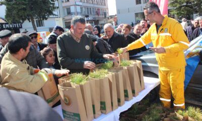 Orman Haftası Kutlanıyor