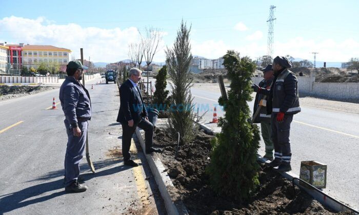 Refüjler Yeşilleniyor, Kent Nefes Alıyor