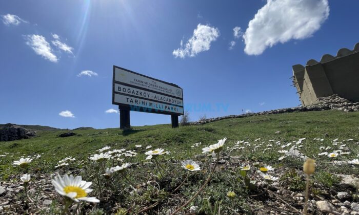 8 Bin Yıllık Tarih, Doğayla Canlanıyor