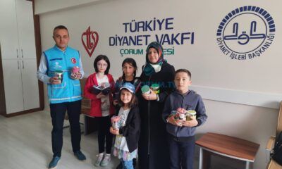 Anlamlı Destek