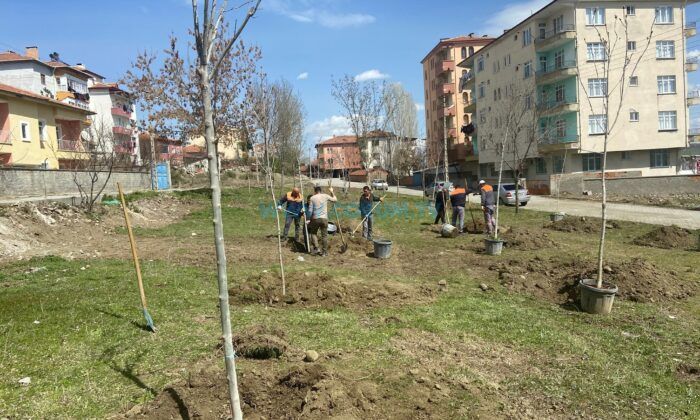 Sungurlu Yeşilleniyor