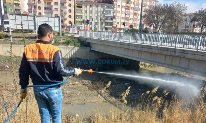 Sungurlu’da İlaçlama Çalışması