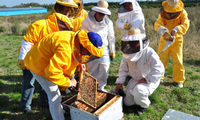 337 Bin Euroluk Proje AB’den Destek Alacak