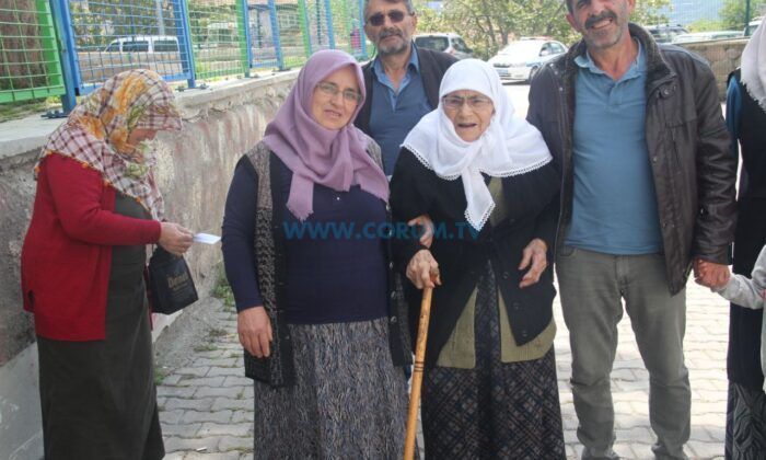 Asırlık Çınarlar Vatandaşlık Görevini Yaptı