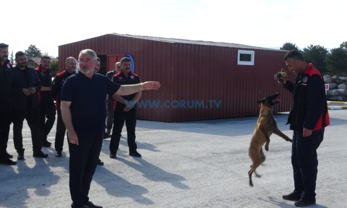 Çorum’da Afetler İçin Arama Kurtarma Köpeği Yetiştiriliyor