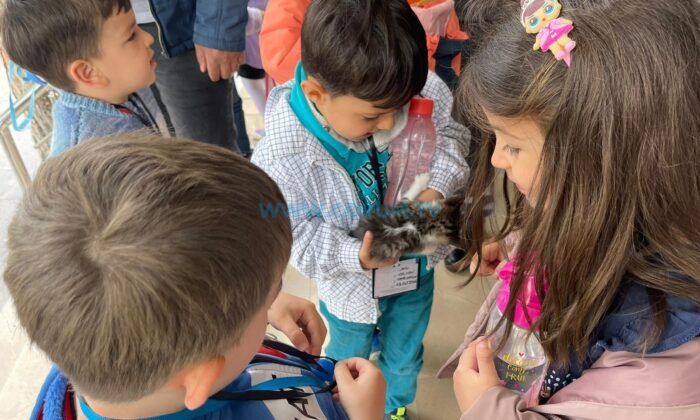 Hayvanat Bahçesine Yoğun İlgi