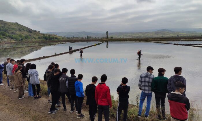 Öğrenciler, Beyaz Altının Yolculuğunu Öğreniyor