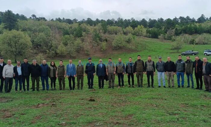 Osmancık’ta Dört Kızıl Geyik Doğaya Salındı