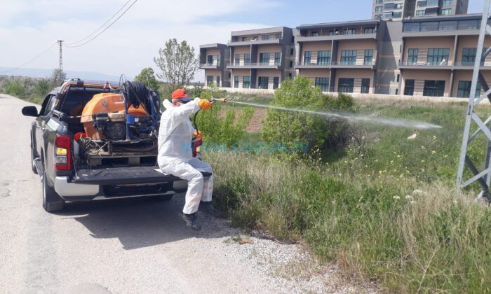 Vektörel Mücadele Devam Ediyor