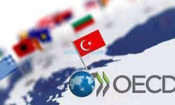 Türkiye, OECD’nin En Yüksek Oranda Büyüyen İkinci Ülkesi Oldu