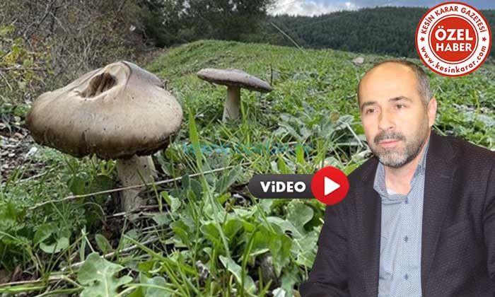 Hobiniz Ölüme Yol Açmasın